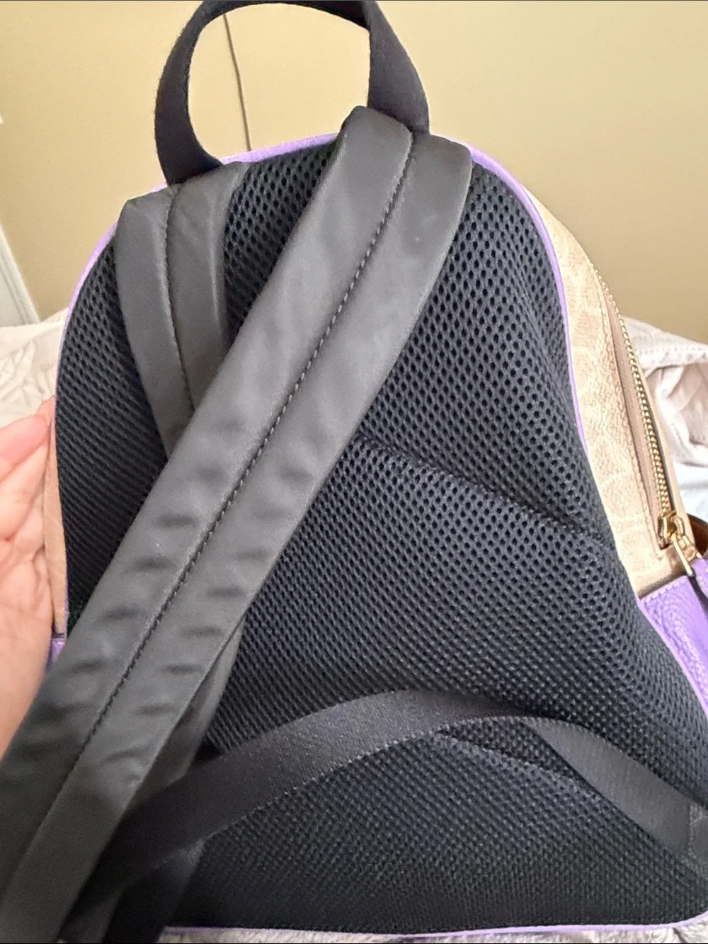 Coach mini backpack